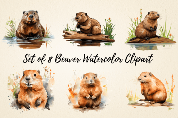 Download Beaver Watercolor Clipart Bundle - Watercolor clipart Collection
