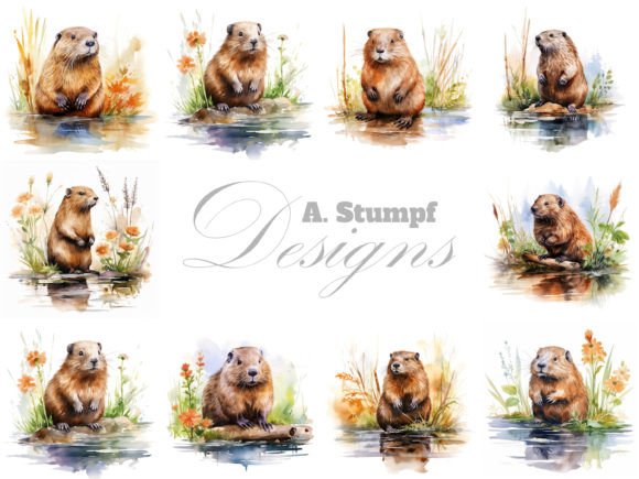 Download Beaver Clipart Watercolor Animal Bundle - Watercolor animal Collection