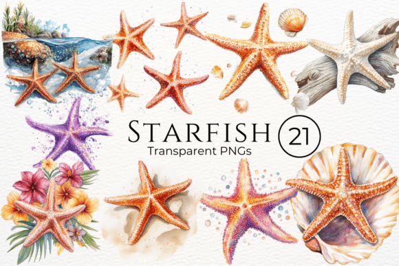 Download Starfish Watercolor Cliparts - Watercolor clipart Collection